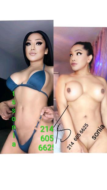 SONIA, 27 Latino/Hispanic transgender escort, Dallas