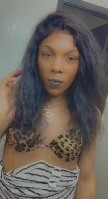 4695890251, transgender escort, Dallas
