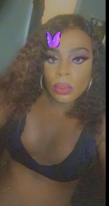 8178239809, transgender escort, Dallas