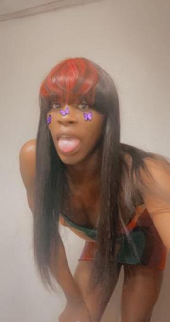 6822033876, transgender escort, Dallas