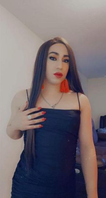 8323232425, transgender escort, Dallas