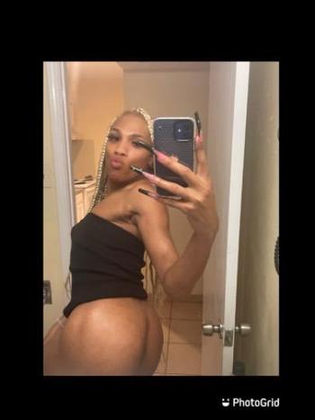 8326508706, transgender escort, Dallas