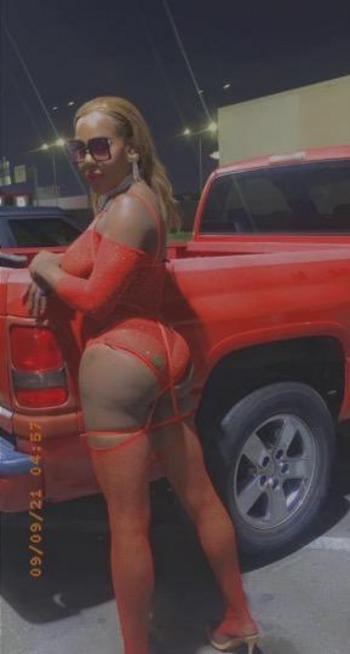 9038061657, transgender escort, Dallas