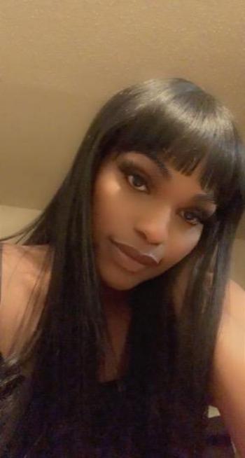 4694604362, transgender escort, Dallas