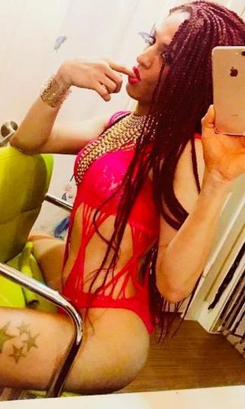 4693434576, transgender escort, Dallas