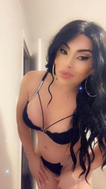 2146056511, transgender escort, Dallas